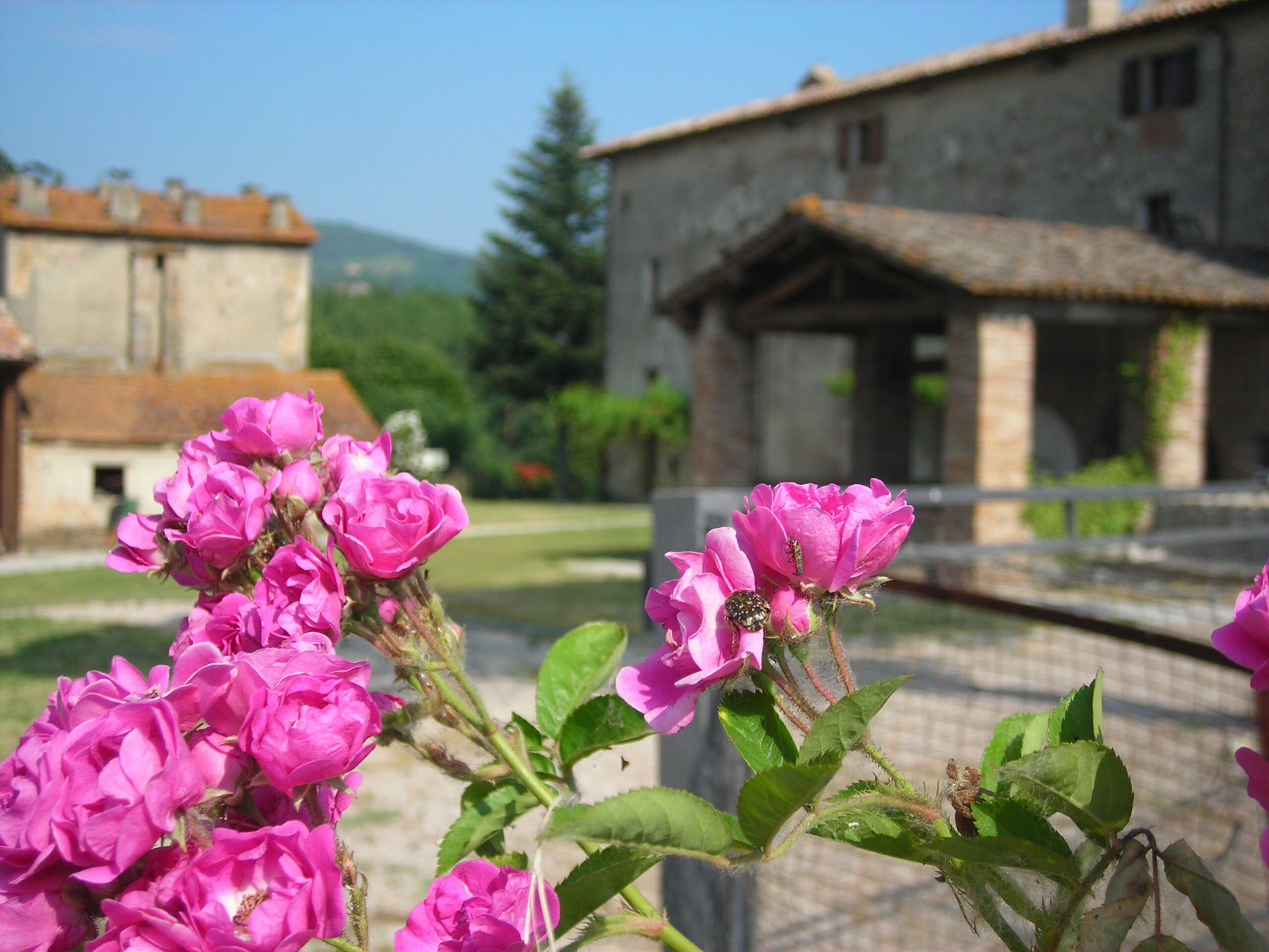 FAMU- Giornata delle Famiglie al Museo a Garavelle